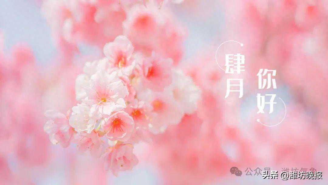 潍坊天气｜晴暖“余额”已不足，冷空气正在跃跃欲试