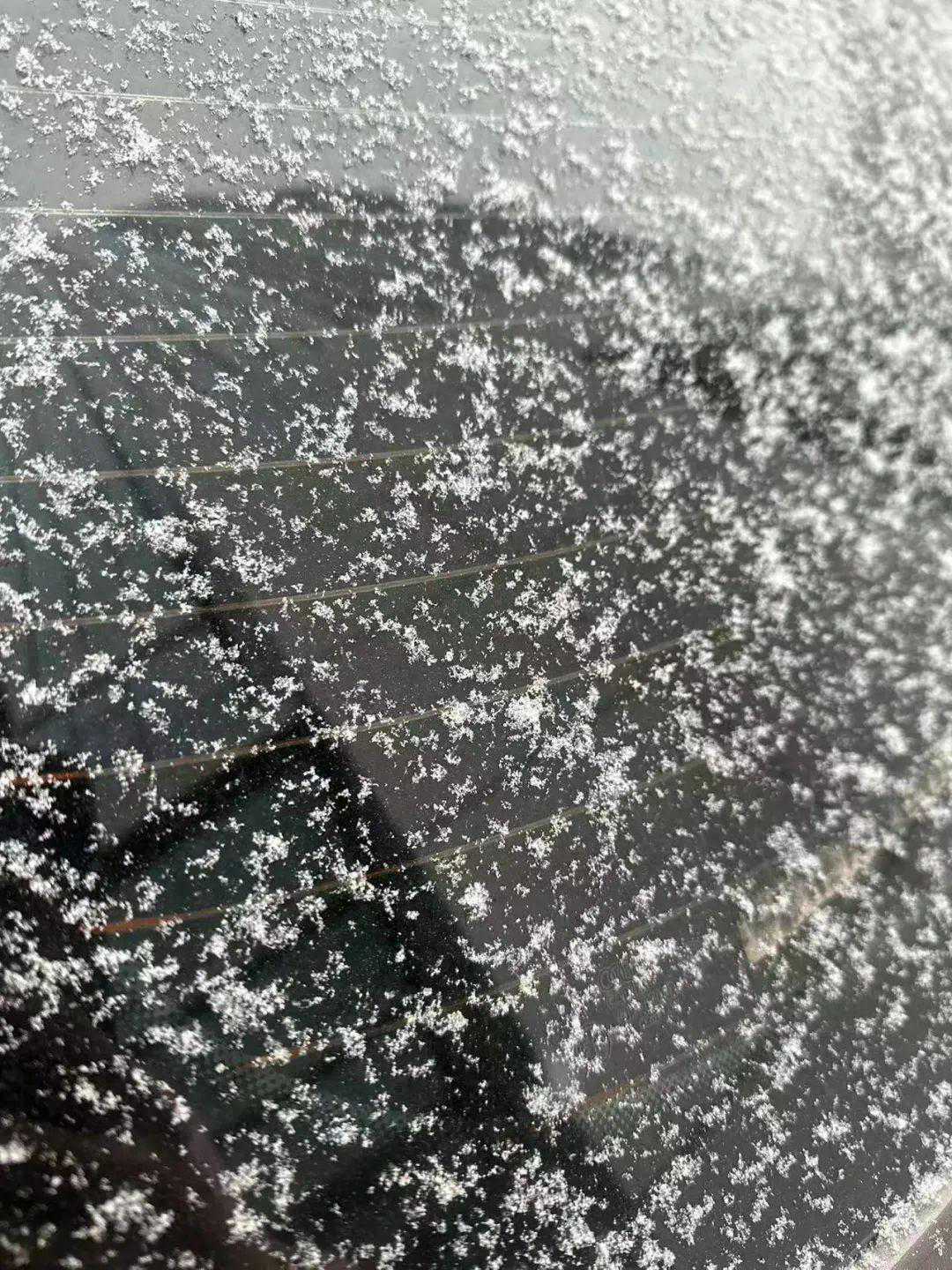 又是雨又是雪，到底啥时候暖和？最新郑州天气预报