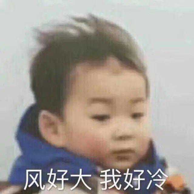 一夜“换季”！今天出门，你被冷到了吗？接下来淳安天气……
