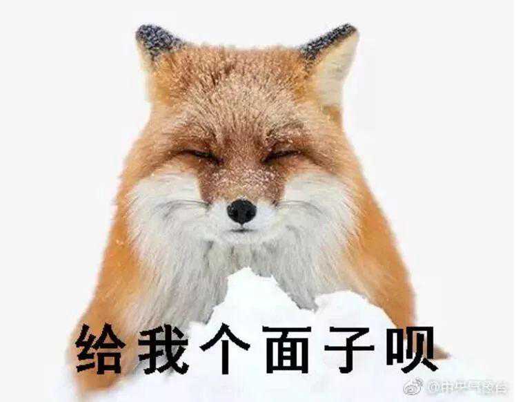 中到大雪局部暴雪！郯城县气象台发布重要天气预报！