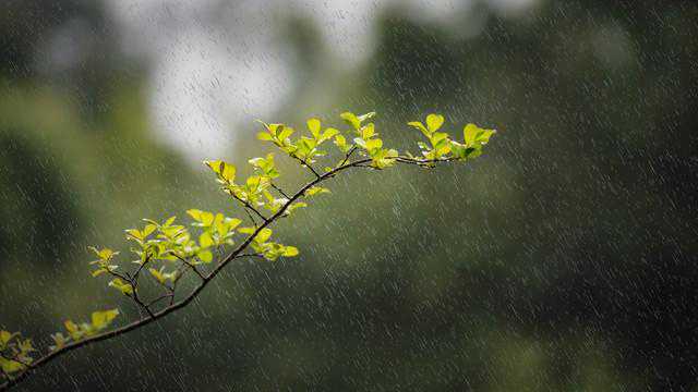 新一轮强降雨来袭，暴雨中雪分布在下列地区！明后4-5号天气预报