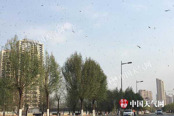 辽宁今天暂回暖 明起气温再降阜新辽阳最高温暴跌8℃