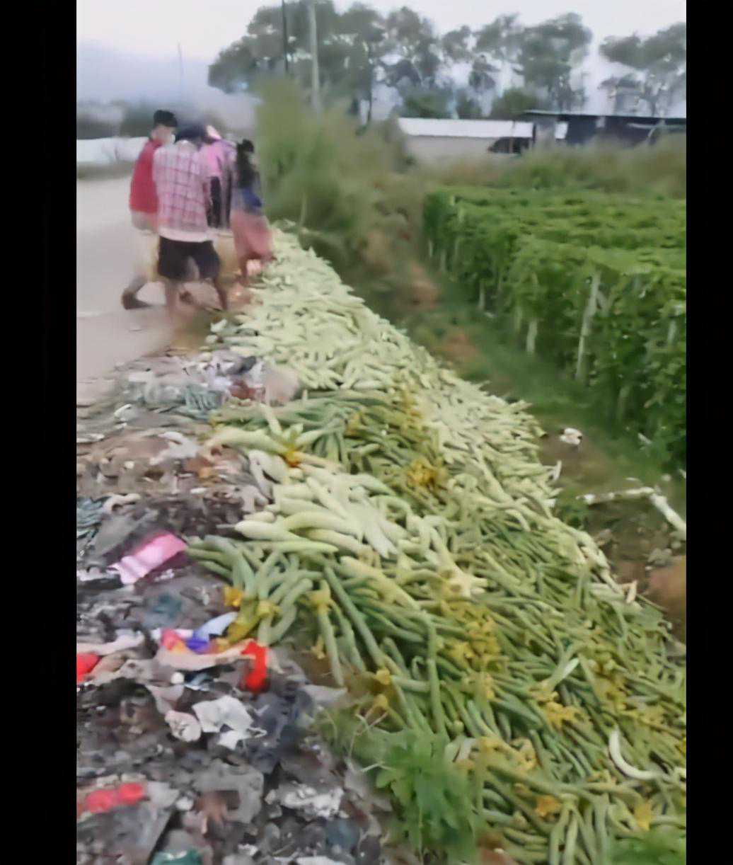 防控升级！云南小镇运输受阻，辣椒豇豆等价格下跌，好收成要成泡影？