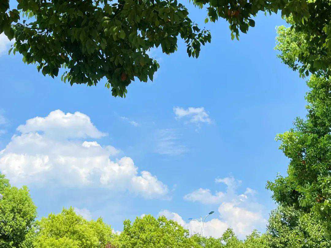 今早如皋的天，真蓝啊！——最低气温将降至16℃