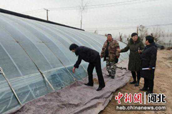 保定徐水区：做好防寒指导 确保果蔬稳产保供