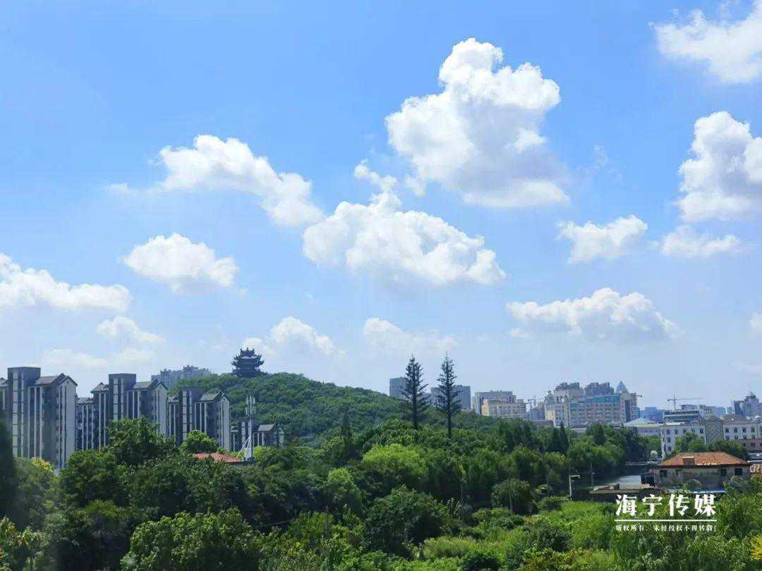 冷空气+降雨！这周，海宁最低温度竟只有…