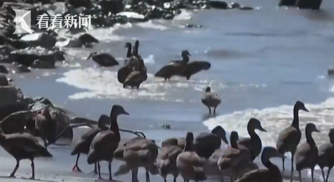 海水倒灌密西西比河 多地供水受威胁