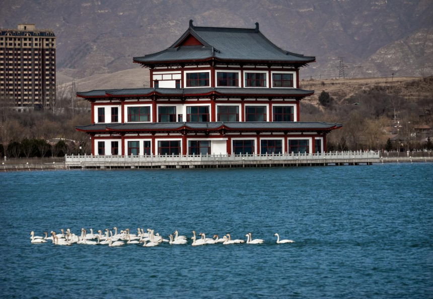 河北涞源：湖光潋滟百鸟蹁跹