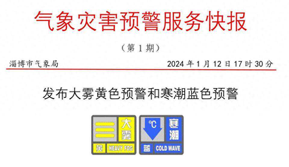 雨夹雪+大雾+寒潮！淄博发布双预警