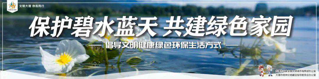 洱海流域雨水来了！全员一线值守保水质