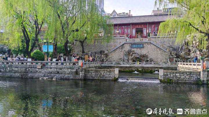 气温回升，济南进入飘絮“飞舞期”，市民出门需注意防护