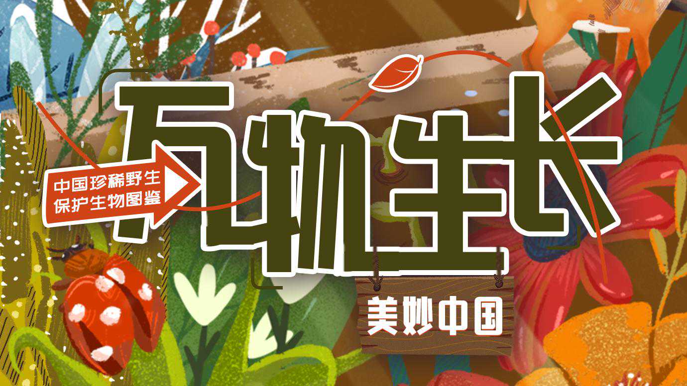 万物生长｜今日秋分