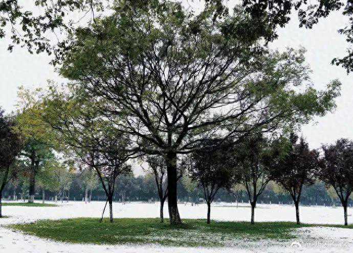 雨夹雪！中雪！陕西最新预警！未来12小时内……