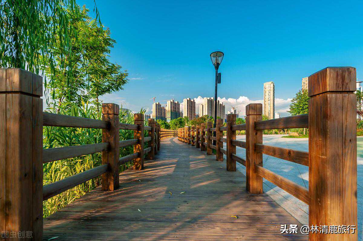 福建养老就来龙岩：冬天均温15°C，空气好，森林覆盖率全省第一