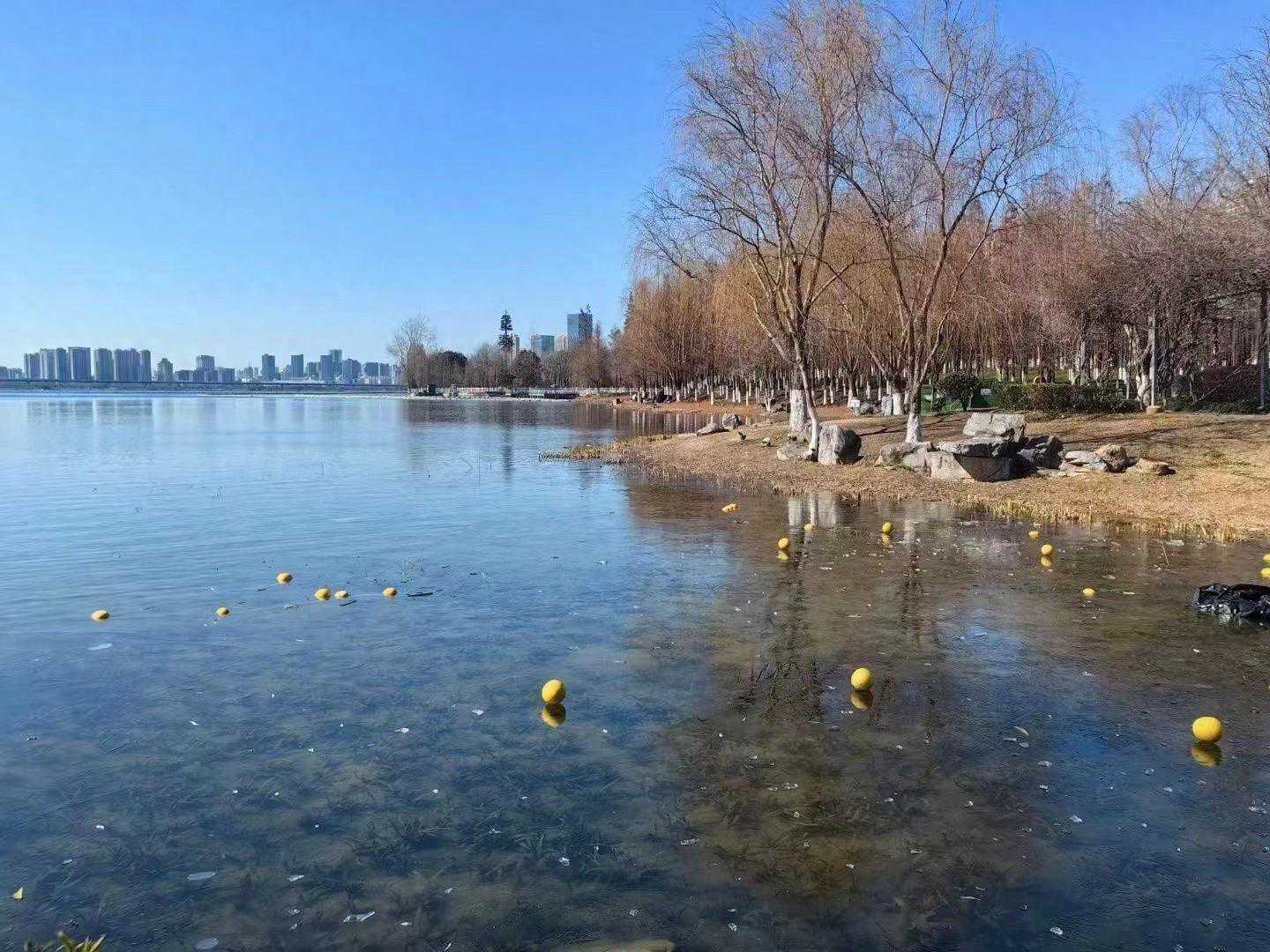 沙湖结冰后，湖面惊现“冻柚”