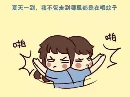 全国蚊子预报地图出炉！你附近什么情况？随时可查