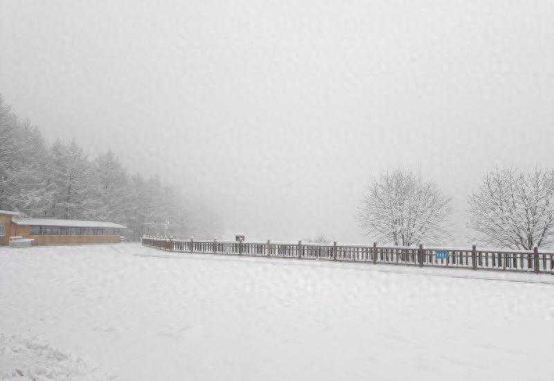 冰雪初临！石家庄驼梁惊艳迎雪，河北大范围持续雨雪！
