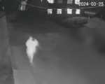 陕西紫阳县13岁女孩失踪多日后遗体被找到 死亡原因正在调查中