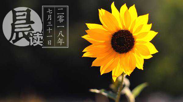 晨读｜重庆等地持续“高烧”，中央气象台继续发布高温黄色预警